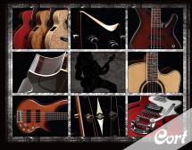 electrogitara-dlya-nachinauschih