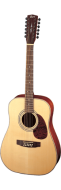 Акустическая гитара Cort Earth70-12