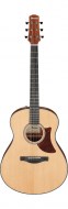 Акустическая гитара Ibanez AAM50-OPN